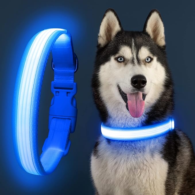 YFbrite Light up Dog Collar, USB Rechargeable LED Puppy Collar Super Bright Adjustable Glowing Dog Lights for Night Walking (Design-2- Blue, Large)