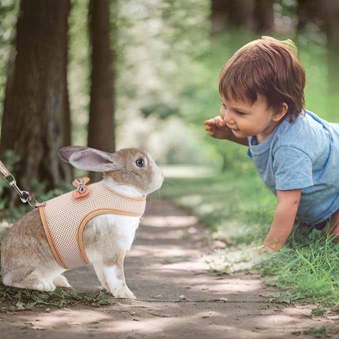 Rabbit Harness and Leash Set with Cute Bow tie Buckle Breathable Mesh Vest Harness for Rabbits Kitten Small Pets Pig Walking(L: Chest Girth 11.02-13.38IN, Khaki)