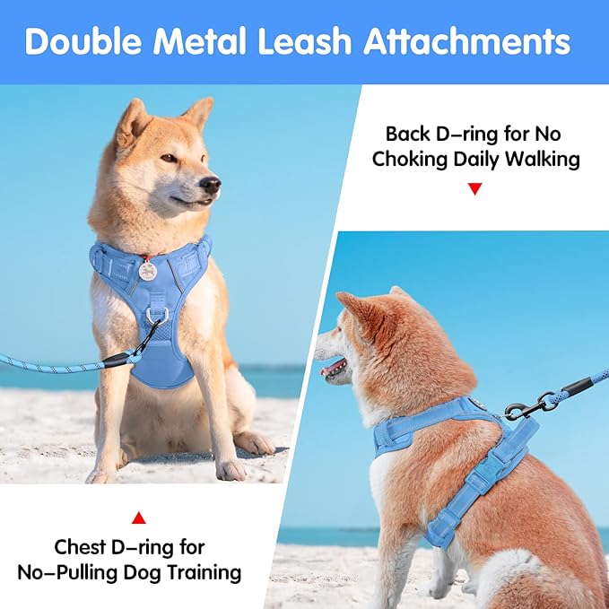 PoyPet No Pull Dog Harness and 5 Feet Leash Set, Release on Neck Reflective Adjustable Pet Vest, Front & Back 2 D-Ring and Soft Padded Pet Harness with Handle for Small to Large Dogs(Light Blue,M)