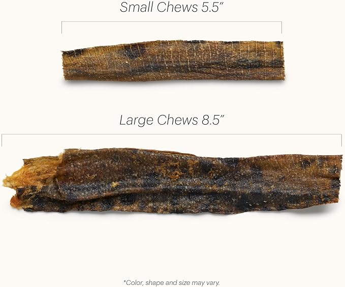 The Honest Kitchen Ocean Chews™ Hearty Wolffish Skins Dog Treats, 3.25 oz (Beams™)