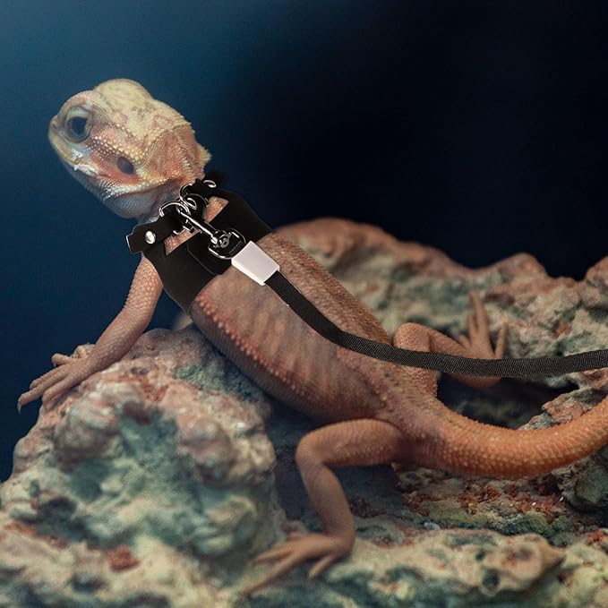 Bearded Dragon Harness and Leash Set, 3 Sizes Super Leather Bearded Dragon Vest with Retractable Small Animal Rope Bearded Dragon Outfits Clothes Accessories for Reptile Walking Outdoor (Black)