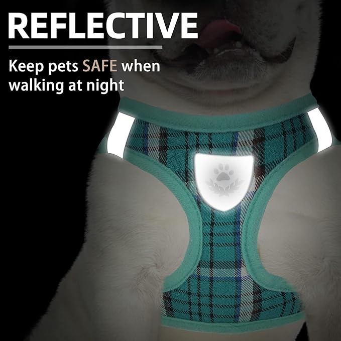 PUPTECK Adjustable Dog Harness Collar and Leash Set Step in No Pull Pet Harness for Small Medium Dogs Puppy and Cats Outdoor Walking Running, Soft Mesh Padded Reflective Vest Harnesses, Lake Green XXS