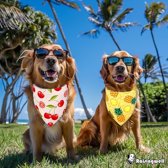 Summer Fruit Dog Bandanas 2 Pack 4 Pattern Reversible, Holiday Bandana for Boy and Girl, Premium Durable Fabric, Party Triangle Scarf for Small to Medium Breed Dogs(Small)