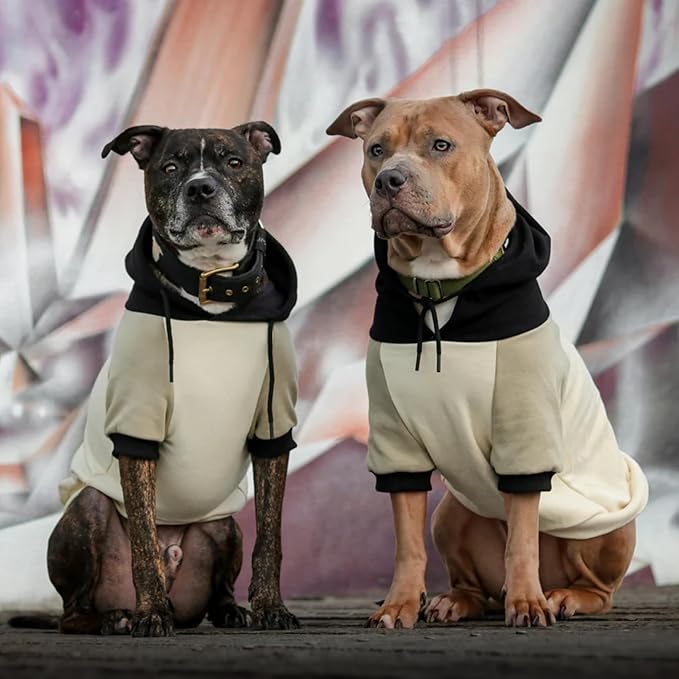 Spark Paws Dog Hoodie - Premium Quality, Buttery Soft, Superior Comfort and Fit, Calming Fleece Interior, Suitable for All Breeds - Olive Cream - XL