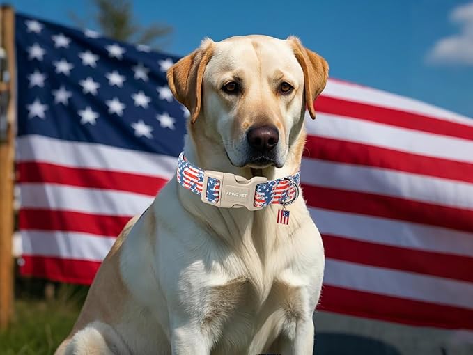 ARING PET 4th of July Dog Collar-Cute Patriotic Dog Collars, Adjustable American Flag Pet Collars Puppy Collar with Quick Release Buckle