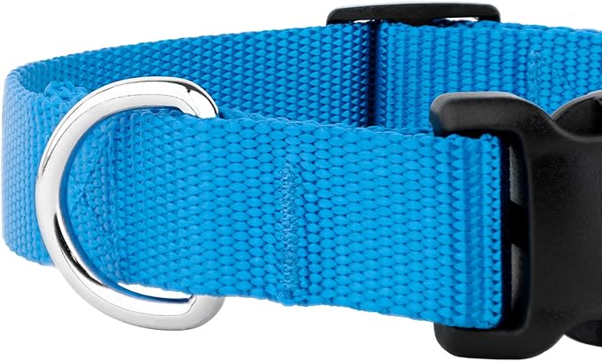 Country Brook Petz - American-Made Dog Collar for Large, Medium, and Small Dogs and Puppies - Deluxe Heavy Duty Nylon in 33 Dazzling Colors (2XS, 3/8 Inch Wide, Ice Blue)