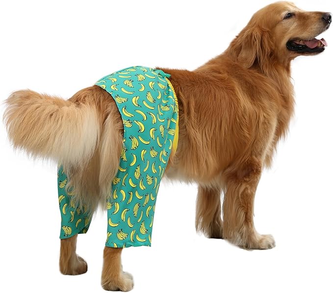 HDE Dog Swim Trunks Hawaiian Board Shorts Beach Pool Swimsuit for XS to XXL Dogs Bananas - L