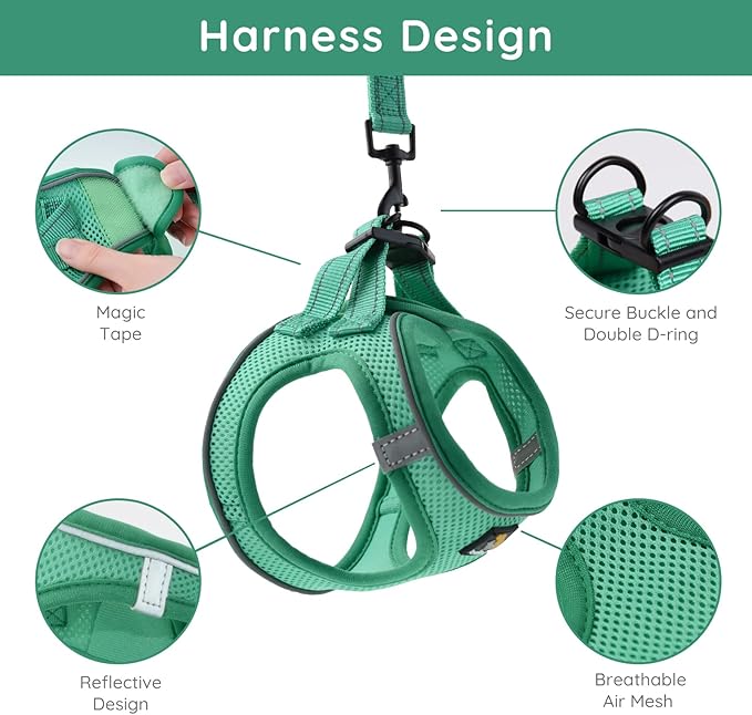 BELLA & PAL Puppy Harness and Leash Set, No Pull, Step in Harness for Extra Small Dogs, Green