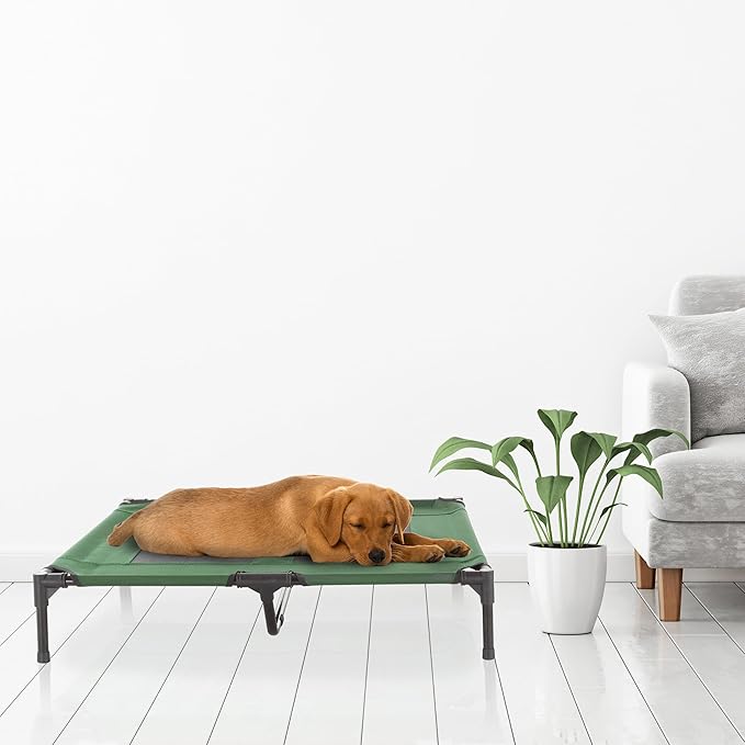 Elevated Dog Bed – 36x29.75 Portable Bed for Pets with Non-Slip Feet – Indoor/Outdoor Dog Cot or Puppy Bed for Pets up to 80lbs by Petmaker (Green)