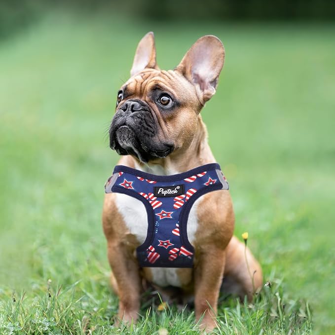PUPTECK Dog Harness and Leash Set for Small Medium Dogs No Pull Step-in Soft Mesh Puppy Cat Vest Harnesses Reflective at Night, Stars and Strips, Blue, S