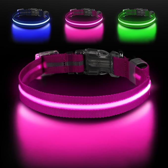 Led Dog Collar for Night Walking,Rechargeable Light Up Dog Collar Led Color,Glow in The Dark Dog Collars Waterproof for Small Medium Large Dogs (Pink, Medium)