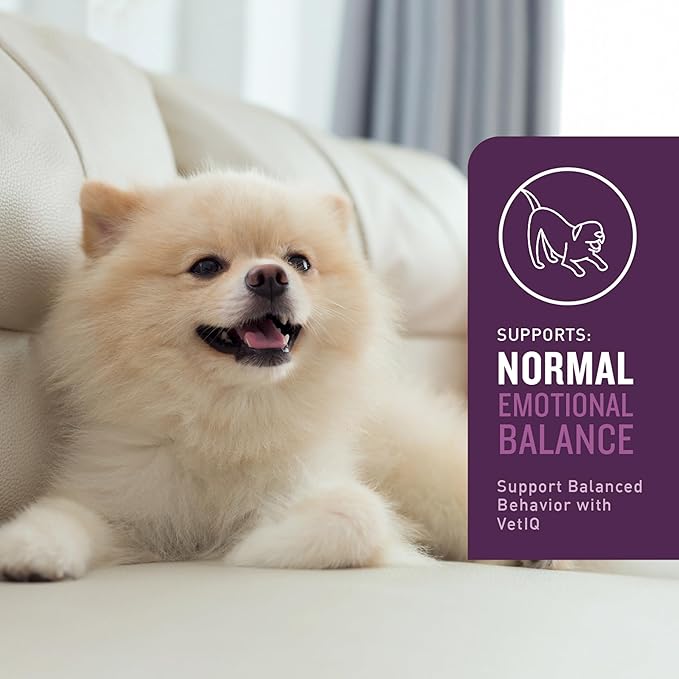 VetIQ Advanced Calming Support Supplement for Dogs, Calming Chews Help Manage Stress and Promote Relaxation, Anxiety Relief for Dogs, Made in The USA, 60 Count (Pack of 2)