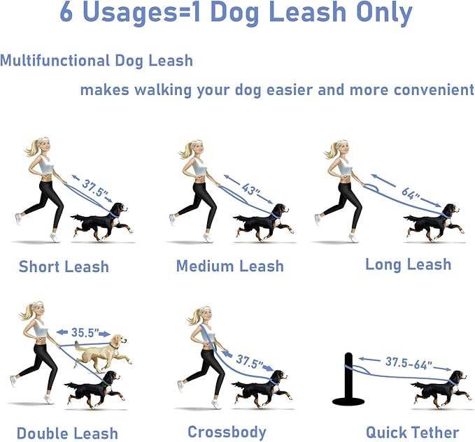 ZALER Dog Collar and Leash Set, Waterproof Adjustable Odor Proof Pet Collars Leashes Easy to Clean, 6FT Dog Leash with 2 Hooks for Large, Medium Small Dogs (L, Blue)