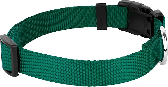 Country Brook Petz - American-Made Dog Collar for Large, Medium, and Small Dogs and Puppies - Deluxe Heavy Duty Nylon in 33 Dazzling Colors (2XS, 3/8 Inch Wide, Green)