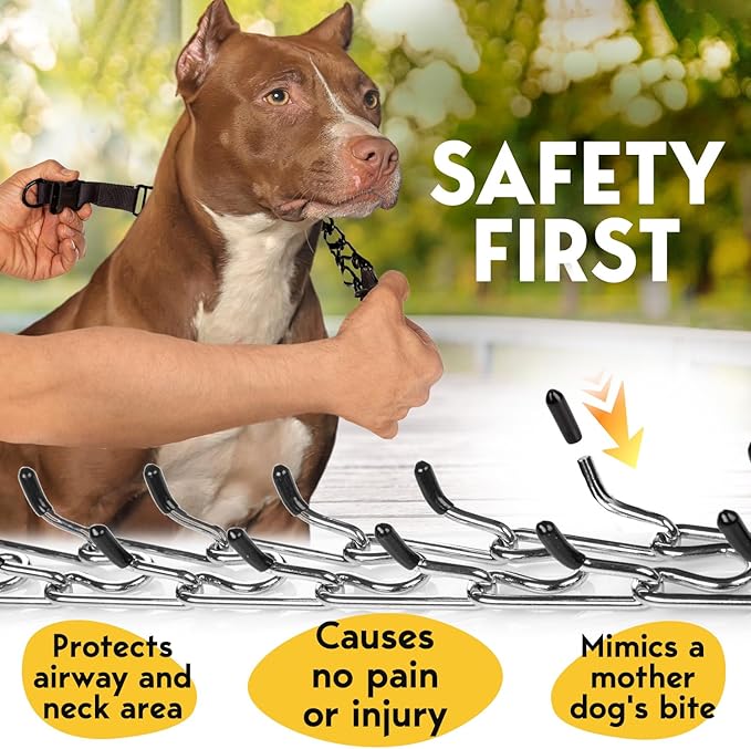 PetJett Prong Collar for Dogs - No Pull Choke Collar for Dogs, Pinch Collar for Dog Adjustable Dog Training Collar for Small Medium Large Breed - Safety Stainless Steel Metal Choker Chain Walking Tool