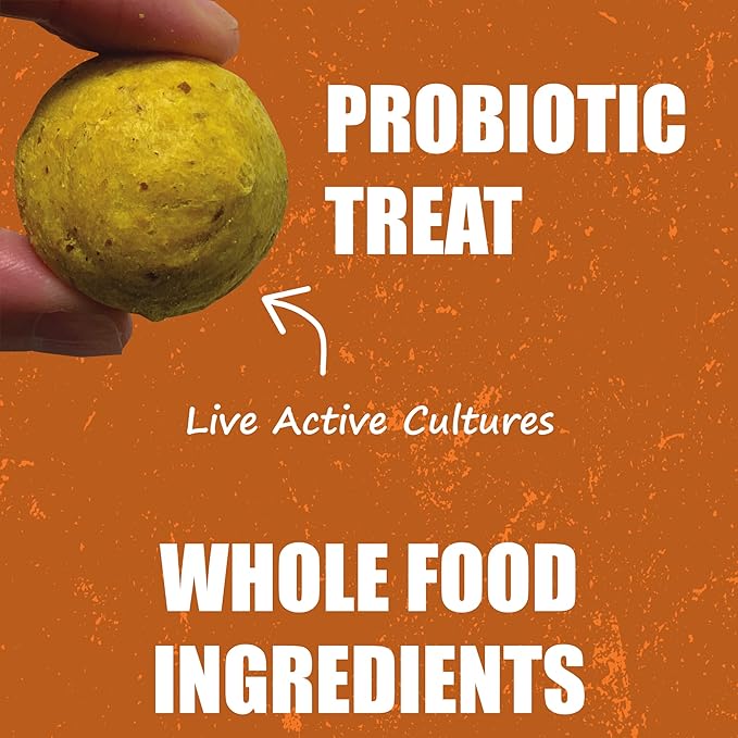 Whole Life Pet Human Grade Probiotic Dog Treats - Pumpkin & Yogurt – Easy Digestion, Firmer Stool, Sensitive Stomachs - Made in The USA (Pack of 2)
