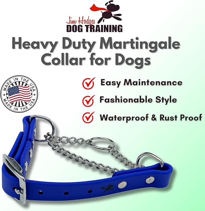 Martingale Collar for Dogs, Biothane, Stainless Steel Hardware, No Pull, Made in The USA, Professional Grade, Small, Blue