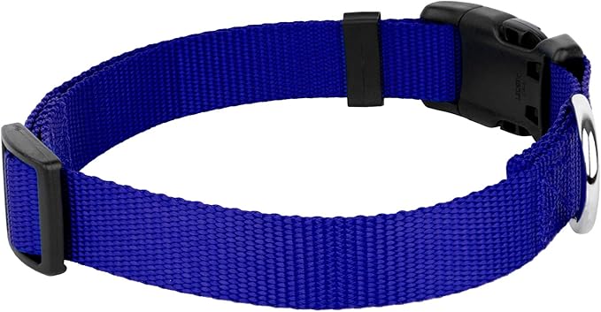 Country Brook Petz - American-Made Dog Collar for Large, Medium, and Small Dogs and Puppies - Deluxe Heavy Duty Nylon in 33 Dazzling Colors (Extra Large, 1 Inch Wide, Bright Royal Blue)