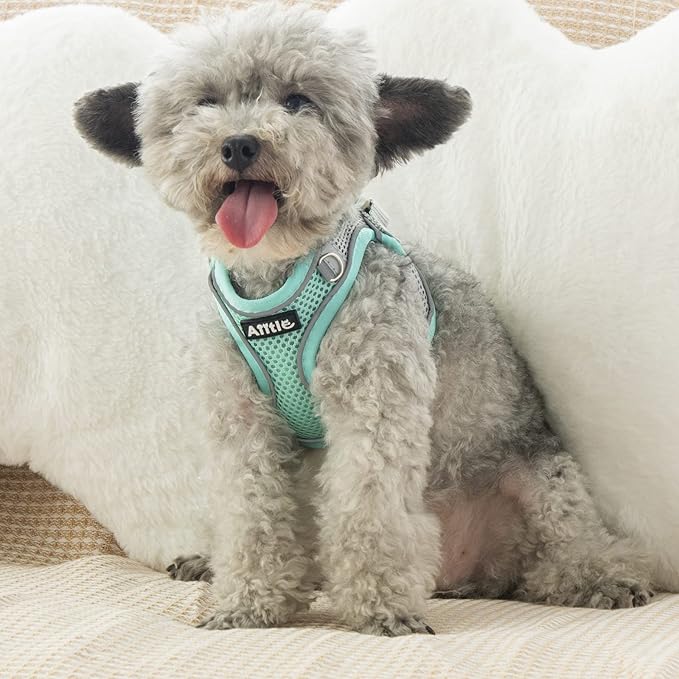 AIITLE Step in Dog Harness and Leash Set - Spring No Pull Escape Proof Vest Harnesses with Soft Mesh and Reflective Bands, Adjustable Pet Outdoor Harnesses for Small and Medium Dogs Turquoise M