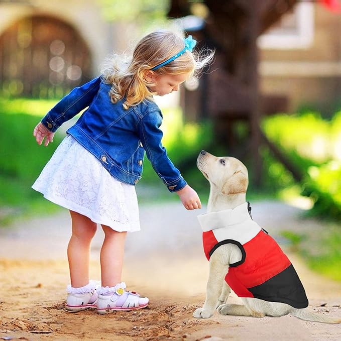 Idepet Pet Dog Cat Coat with Leash Anchor Color Patchwork Padded Puppy Vest Jacket Teddy Chihuahua Costumes Pug Cloth XS S M L (Medium (Pack of 1), Black)