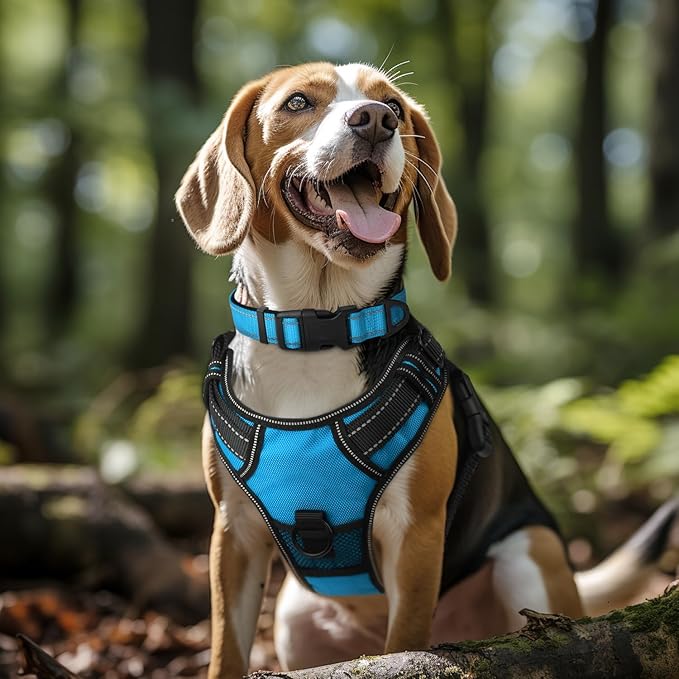Joytale Reflective Dog Collar,Soft Neoprene Padded Breathable Nylon Pet Collar Adjustable for Large Dogs,Sky Blue,L