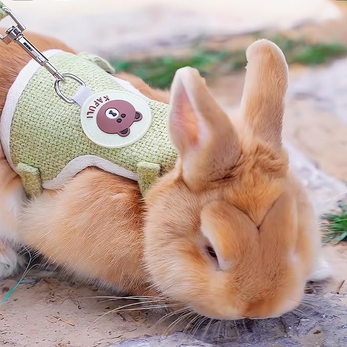 Rabbit Harness and Leash Set 2 Pieces Adjustable Bunny Harness Leash Ferret Harness Guinea Pig Harness Ferret Leash for Small Pets Walking Outdoor (Green, Small)
