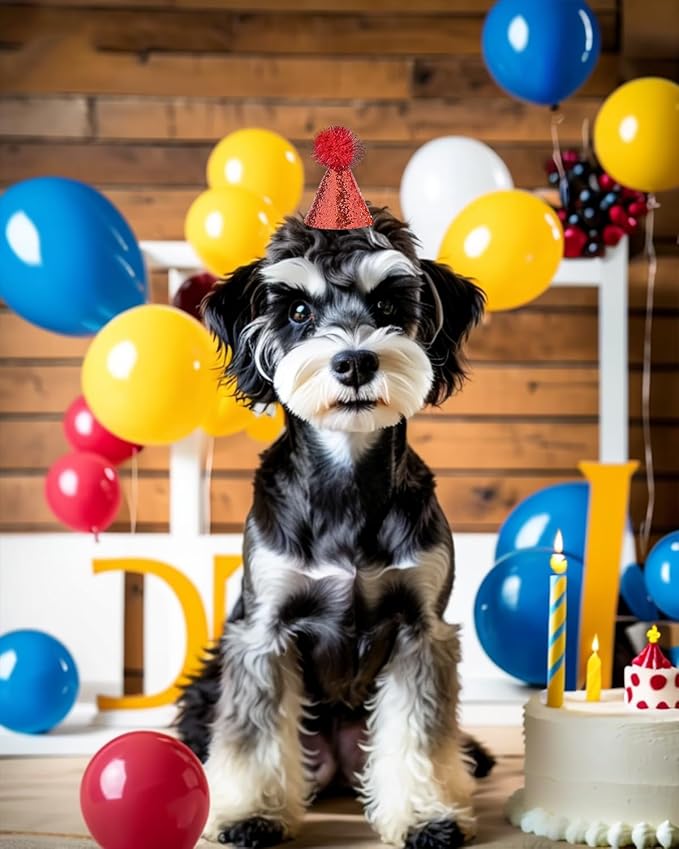 PET SHOW 20 Pack Mini Small Dog Hats Cat Birthday Party Hat Rabbit Hats for Holiday Wedding Puppies Kittens Costume Accessories