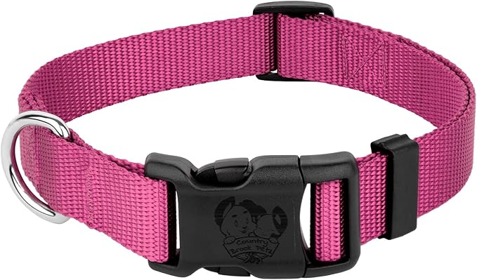 Country Brook Petz - American-Made Dog Collar for Large, Medium, and Small Dogs and Puppies - Deluxe Heavy Duty Nylon in 33 Dazzling Colors (Extra Small, 3/8 Inch Wide, Rose)