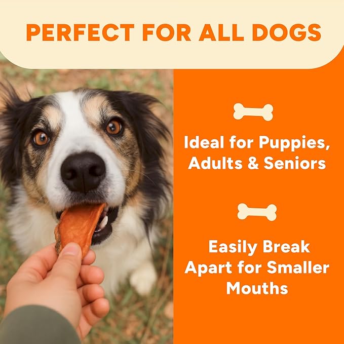 Gaines Family Farmstead Sweet Potato Chews for Dogs - 14 oz Single Ingredient, Sweet Potato Dog Treats, High Fiber, Grain-Free, Rawhide Alternative, Vitamin-Rich, Made in USA