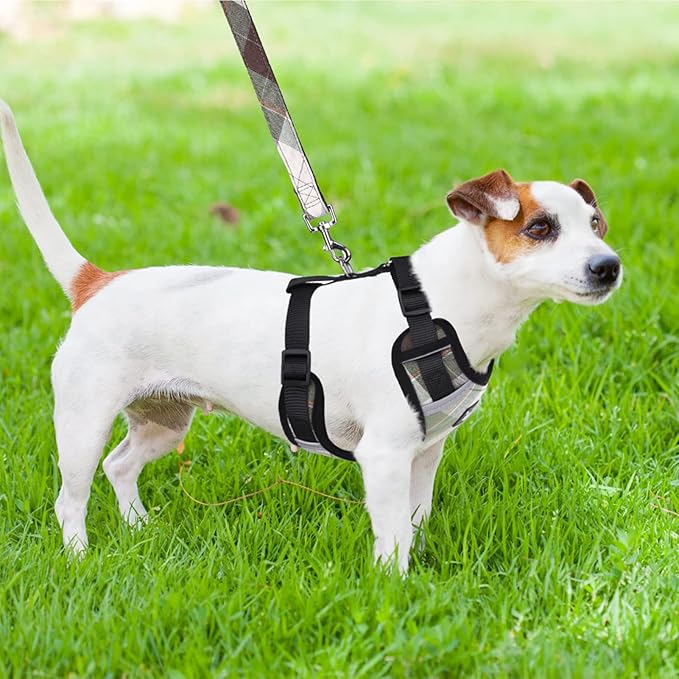 PUPTECK Dog Harness and Leash Collar Set for Small Medium Dogs Puppy and Cats Walking No Pull Adjustable Reflective Soft Mesh Padded Plaid Harnesses Pet Accessories, Green, S