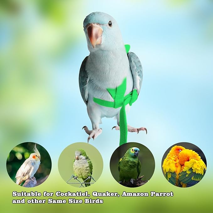 Adjustable Bird Leashes and Harnesses, Bird Nylon Harness with Cute Wing for Parrots, Pet Bird Accessories, Bird Leash for Hang Out, Suitable for Cockatiel, Quaker, Amazon Parrot and Same Size Birds