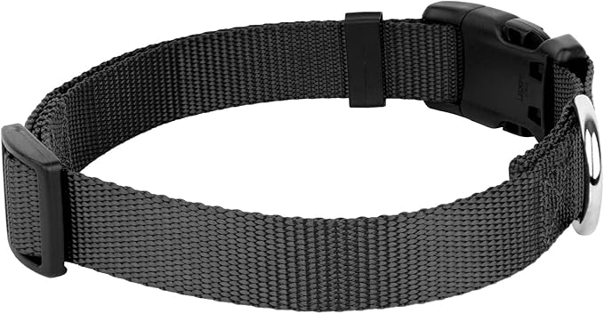 Country Brook Petz - American-Made Dog Collar for Large, Medium, and Small Dogs and Puppies - Deluxe Heavy Duty Nylon in 33 Dazzling Colors (Small, 3/4 Inch Wide, Black)