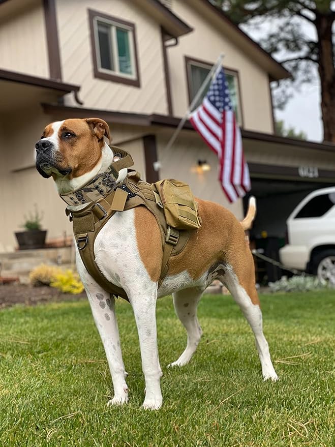 Tactical Dog Collar with Handle - Military Adjustable Dog Training Collar Soft Nylon and Heavy Duty Metal Buckle for Medium Large Dogs - with Patch (Camo with Patch, Medium)