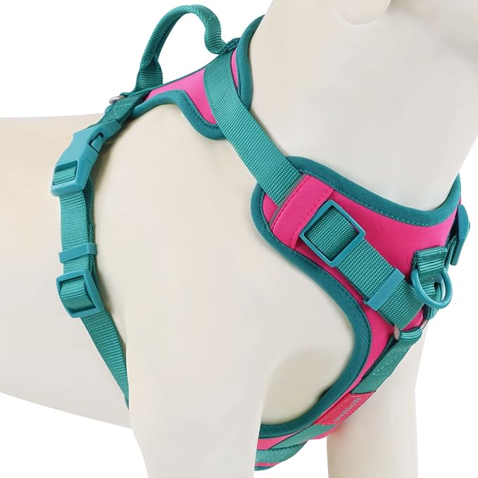 No Pull Dog Harness Adjustable Soft Padded Pet Vest with Control Handle Adorable Daily Harness for Dogs(Pink Peacock M)