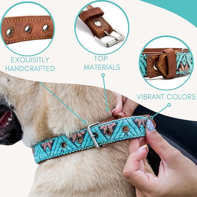 Western Dog Collar – Leather Dog Collar Embroidered Design for Small Medium Large Dogs & Puppy Pets - Aztec & Southwest for Boy and Girl Female & Male Dogs - Collar Para Perros (Small, Teal)