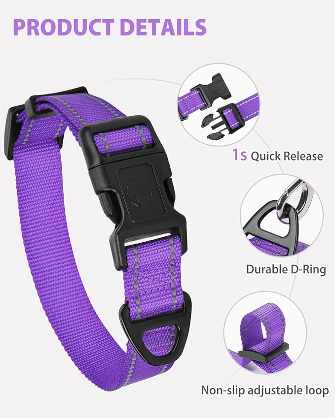 Joytale Small Dog Collar, Reflective and Adjustable Nylon Collar with Quick-Release Buckle, Lightweight No-Choke Design for Small Dogs, Purple, 3/4" Width