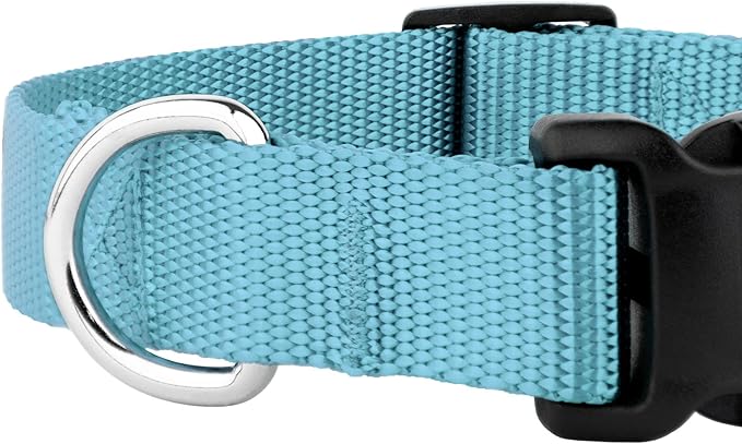 Country Brook Petz - American-Made Dog Collar for Large, Medium, and Small Dogs and Puppies - Deluxe Heavy Duty Nylon in 33 Dazzling Colors (Large, 1 Inch Wide, Ocean Blue)
