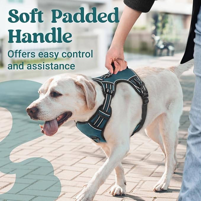 rabbitgoo Dog Harness for Large Dogs, No Pull Pet Harness with Soft Padded Handle, Adjustable Reflective Vest with 3 Buckles, Easy Walking Harness with 2 Leash Clips, Green, M