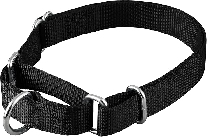 Native Pup Martingale Dog Collar, Adjustable for Small, Medium, Large pet and Puppies Accessories, Cute Colors for Male, Female, Boy, Girl, Puppy (Small, Black)