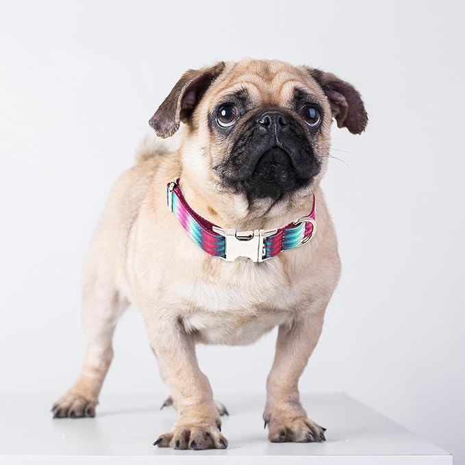 Timos Dog Collar, Adjustable Soft Dog Collar for Small Medium Large Dogs, Patterned Puppy Collars with Quick Release Buckle for Boy and Girl Female Dogs (Peacock Purple, Large)