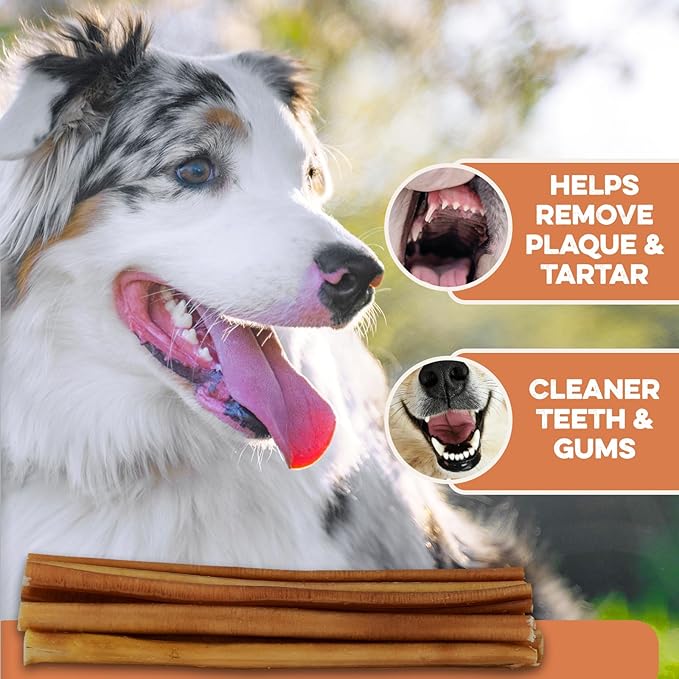BRUTUS & BARNABY Thick Bully Sticks for Dogs – Odor Free Chews for Large, Medium & Small Breeds – Grain-Free, Rawhide-Free, Digestible Dog Treats – Grass-Fed Beef Chews for Aggressive Chewers