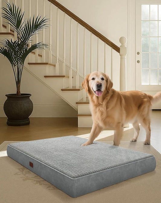 OhGeni Orthopedic Waterproof & Machine Washable Dog Bed for Medium Large Pets, Suitable for Crates, 25D Egg Crate Foam, Non-Slip Bottom & Removable Cover, Gifts for Dad, 35 Inches(Gray)