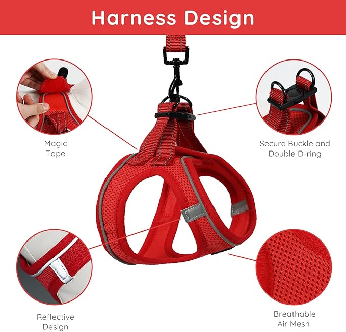 BELLA & PAL Puppy Harness with Leash Set, Step in Harness for Small Dogs, Dog Air Mesh Dog Vest Harness with Reflective Strip, No Pull No-Chock Harness for XXS, XS, Small, Medium Dog Cat (Red, XXS)