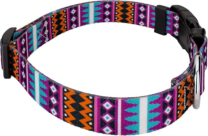 Country Brook Petz - Deluxe Santa Fe Dog Collar - Made in The U.S.A. - Country and Western Collection Featuring Rustic Designs (1 Inch, Medium)