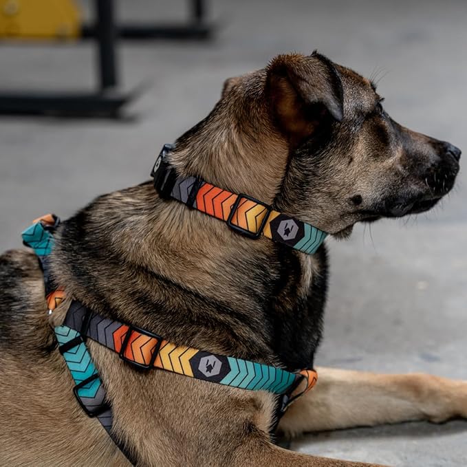 Wolfgang Heavy Duty Martingale Dog Collar with Quick Release Nylon Buckle for Walking & Training, ChevTech Print, Small