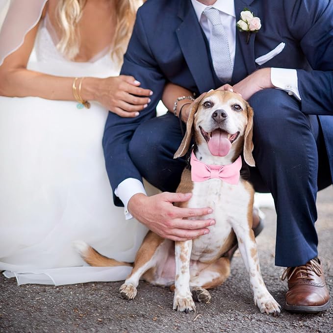 Segarty Dog Bow Tie Collar, Adjustable Pink Bowtie for Small Medium Dogs, Durable Cat Neck Tie Tuxedo Comfortable Cotton Girl Pets Grooming Accessories for Formal Wedding Holiday Birthday Gift Party