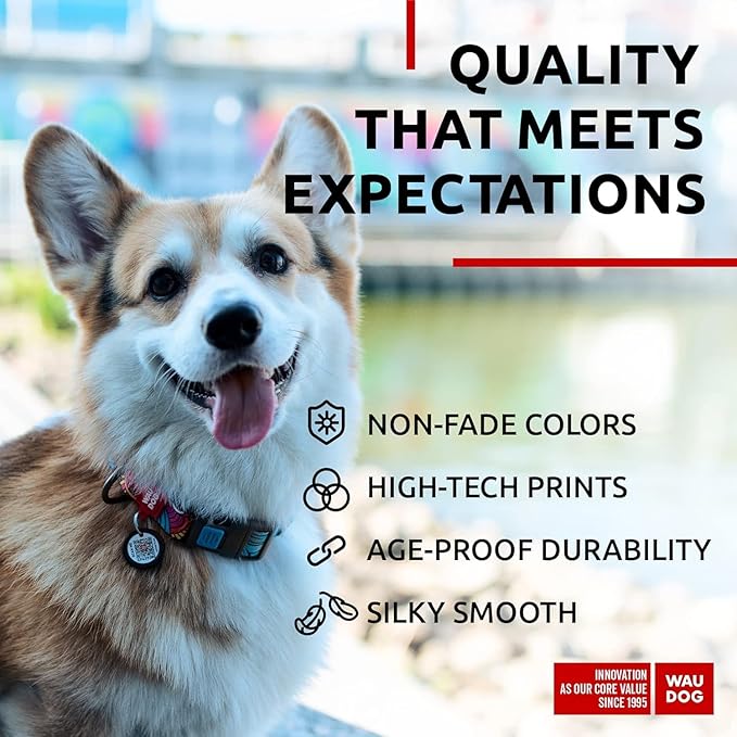 WAUDOG Nylon Dog Collar - Adjustable Dog Collar for Large Dogs, Small & Medium Dogs - Breakaway Puppy Collars for Large Breed Dogs - Boy & Girl Dog Collars with Durable Plastic Buckle and QR Dog Tag