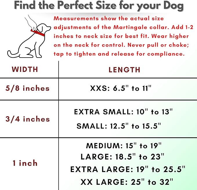 Martingale Collar for Dogs, Biothane, Stainless Steel Hardware, No Pull, Made in The USA, Professional Grade, XXS, Teal