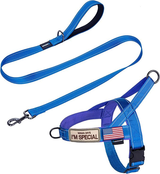 Annchwool No Pull Dog Harness with Padded Handle+5 Ft Leash,Reflective Strip Escape Proof and Quick Fit to Adjust Dog Harness,Easy for Training Walking for Small & Medium and Large Dogs(Blue-Set,XL)