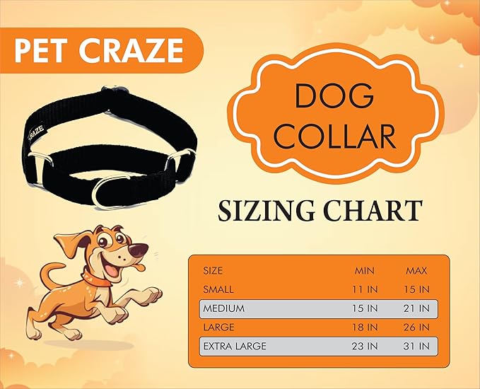 Martingale Dog Collar - Heavyduty Nylon Dog Collar with No Buckle Dog Training Collars for Medium Dogs (Black, Large)